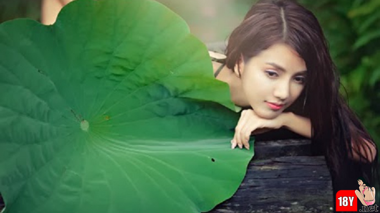 Hoàng Vi - Phần 2